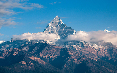 Traceable to Its Roots